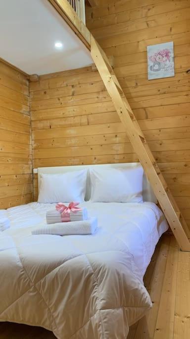 Quinta Pedro E Ines Villa Bragança Eksteriør bilde