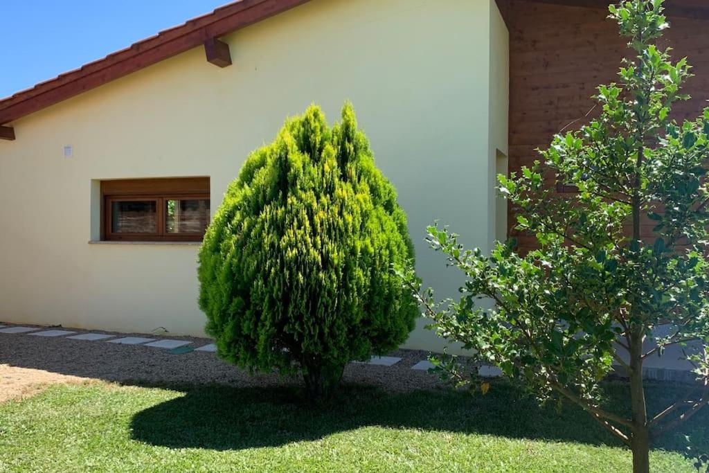 Quinta Pedro E Ines Villa Bragança Eksteriør bilde