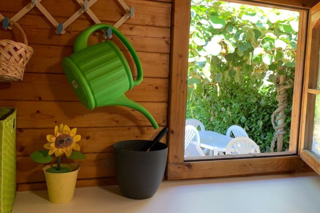 Quinta Pedro E Ines Villa Bragança Eksteriør bilde