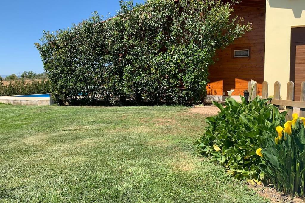 Quinta Pedro E Ines Villa Bragança Eksteriør bilde