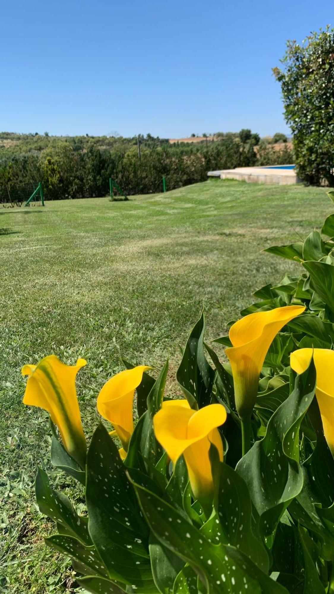Quinta Pedro E Ines Villa Bragança Eksteriør bilde