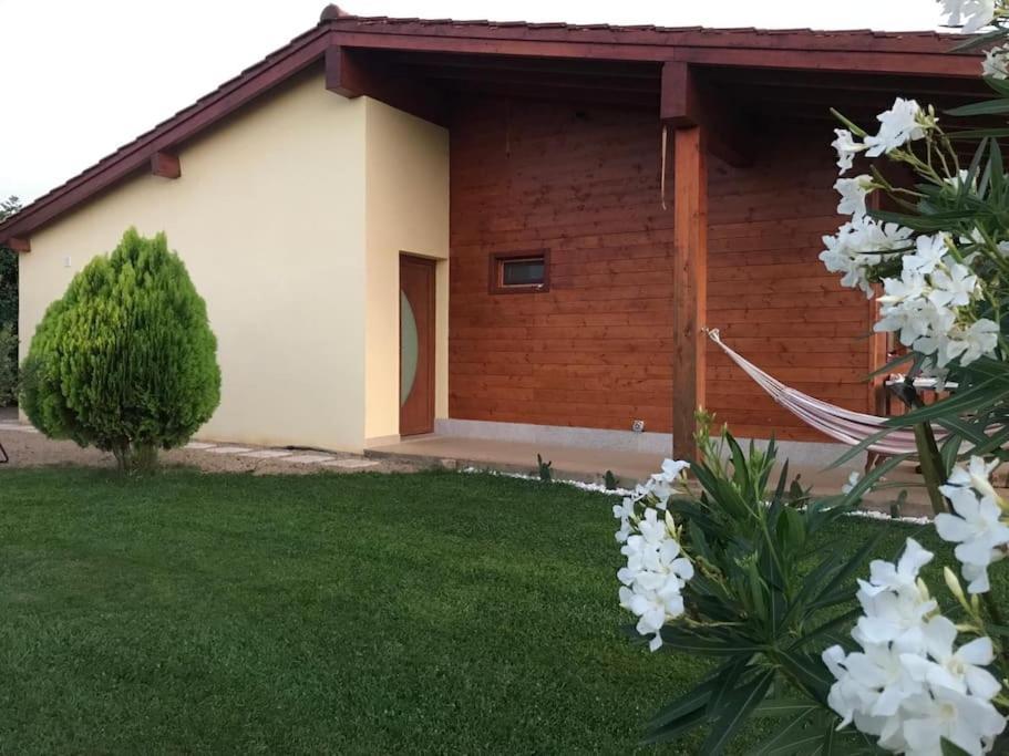 Quinta Pedro E Ines Villa Bragança Eksteriør bilde
