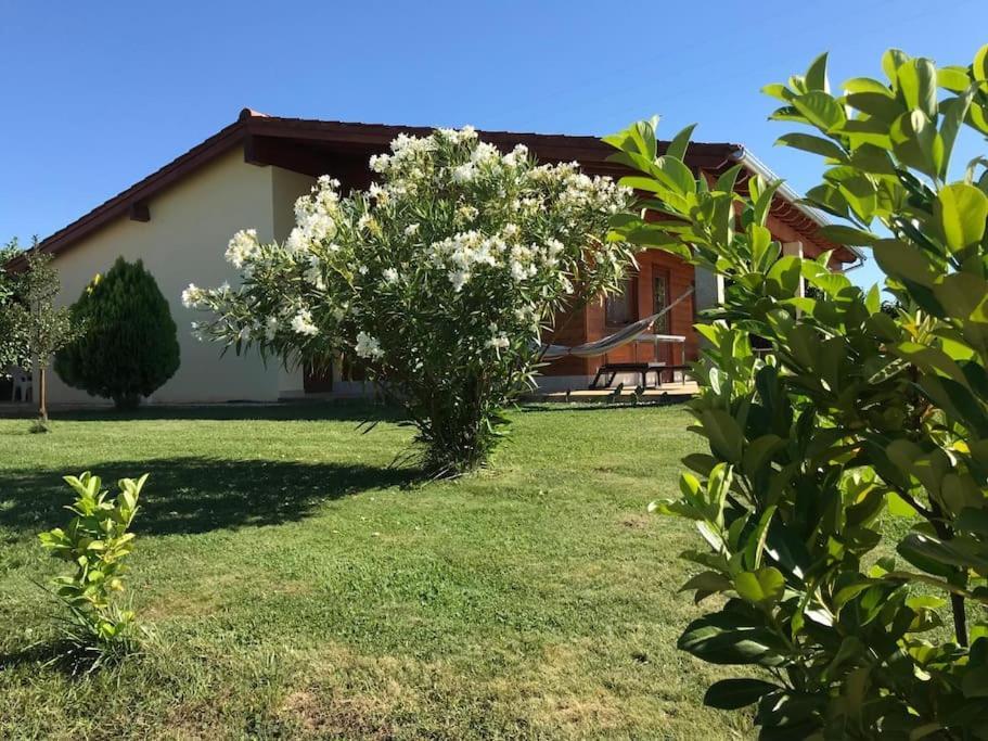 Quinta Pedro E Ines Villa Bragança Eksteriør bilde