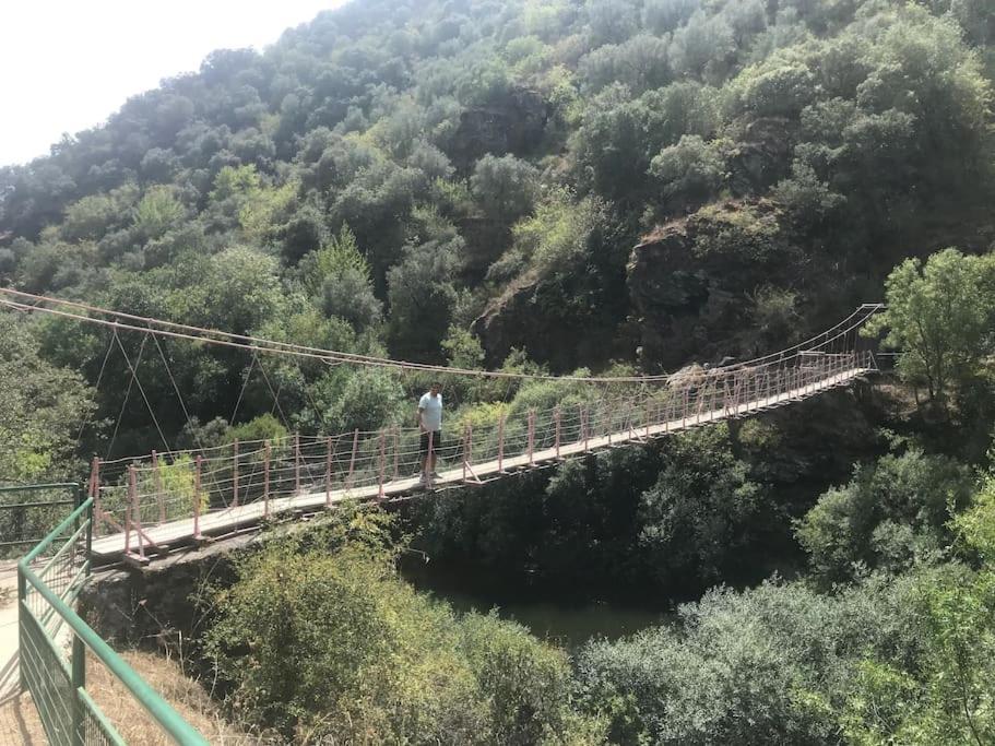 Quinta Pedro E Ines Villa Bragança Eksteriør bilde