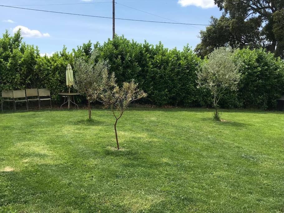 Quinta Pedro E Ines Villa Bragança Eksteriør bilde